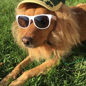 Meet your Posher, Lynne